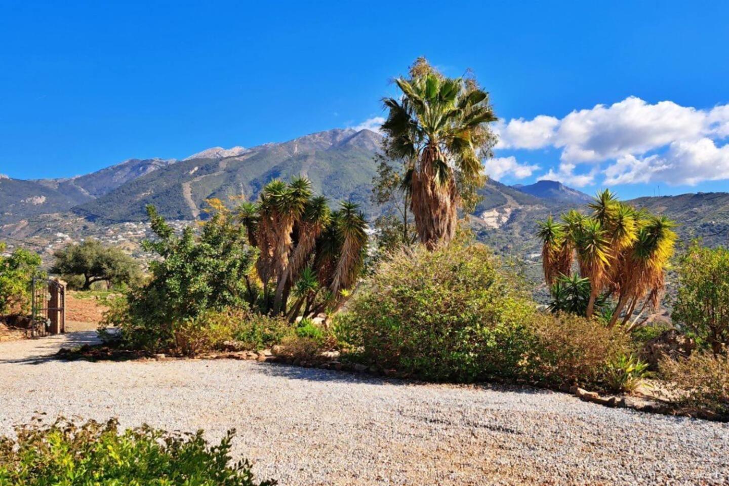 La Perla Andaluza Villa Alcaucin Bagian luar foto